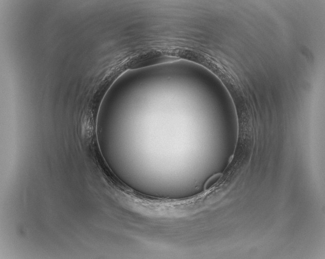 X0000116480040200912091409