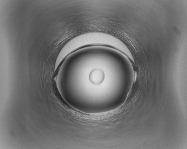 X0000116480043200912091409