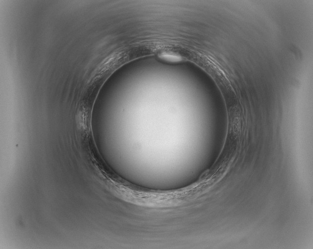 X0000116480044200912091409