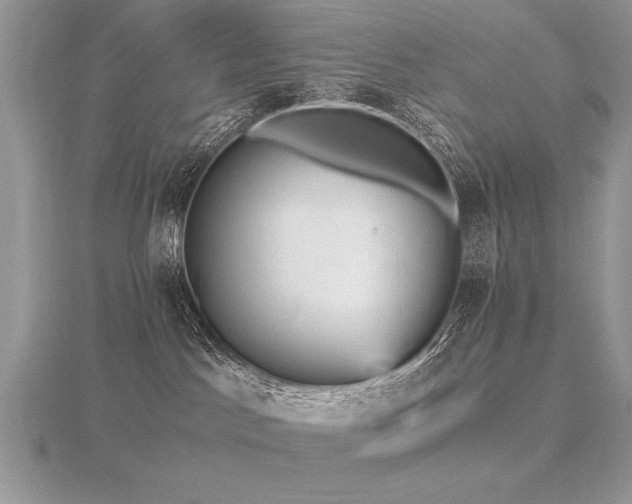 X0000116480045200912091409