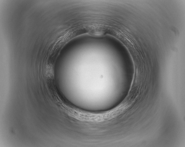 X0000116480048200912091409