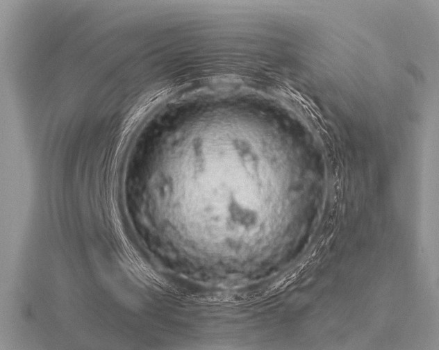 X0000116480049200912091408