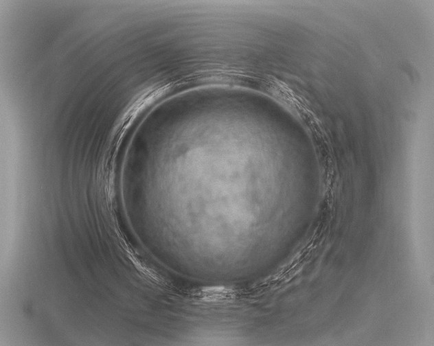 X0000116480050200912091408