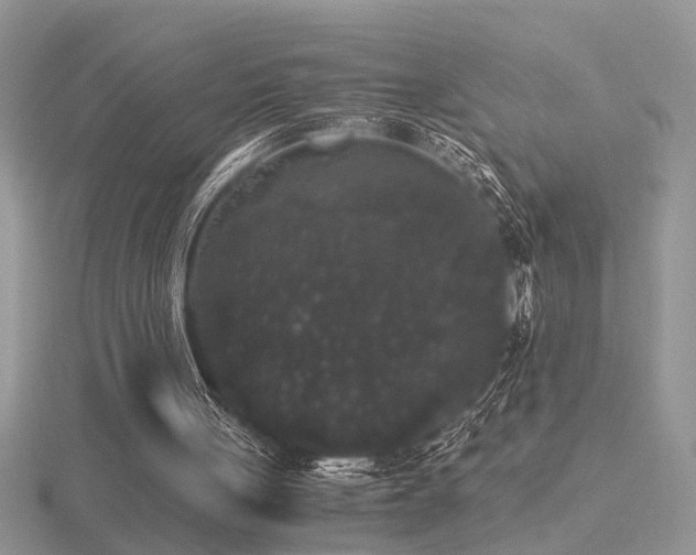 X0000116480051200912091408