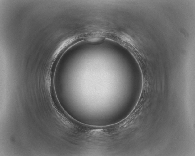 X0000116480054200912091409