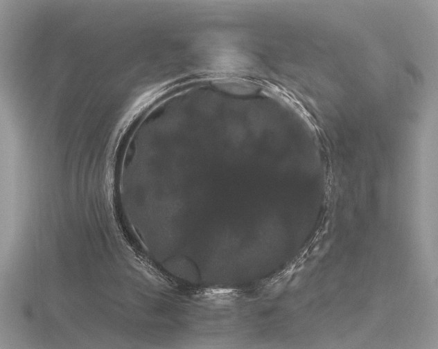 X0000116480055200912091409