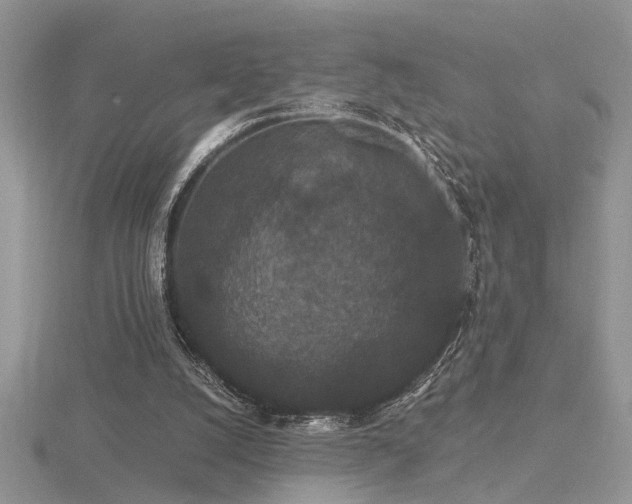 X0000116480056200912091409