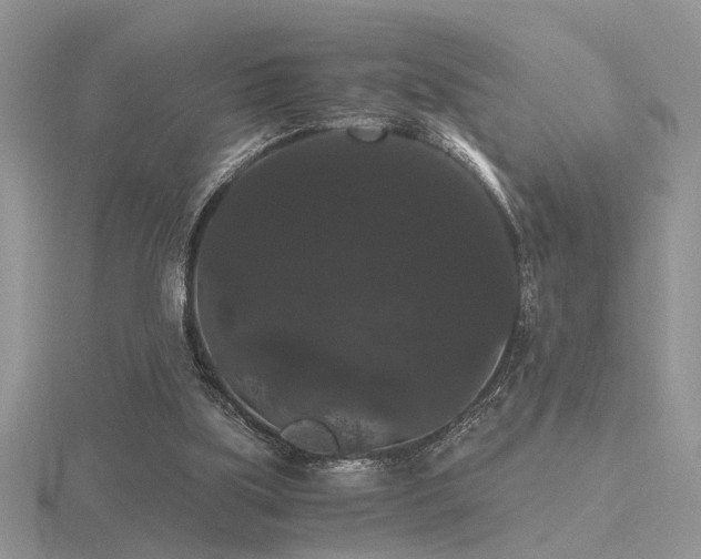 X0000116480059200912091409