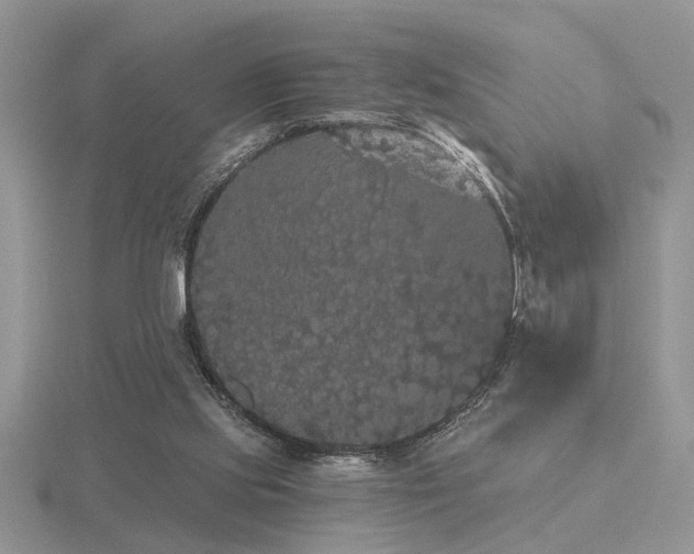 X0000116480061200912091409