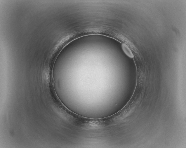 X0000116480064200912091409