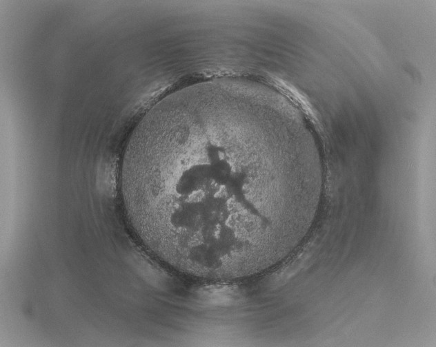 X0000116480065200912091409