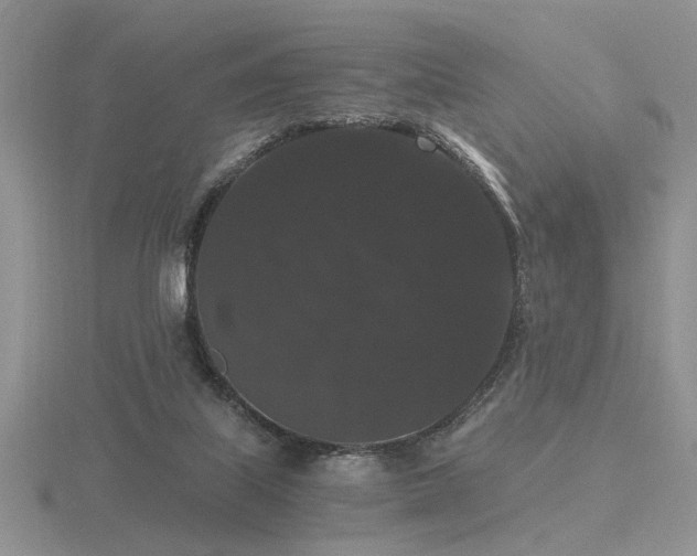 X0000116480067200912091409