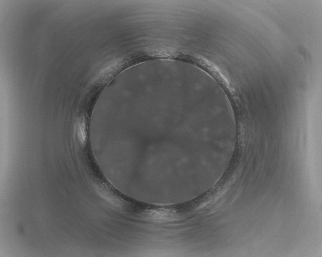 X0000116480069200912091409