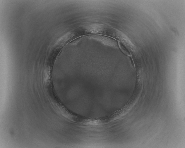 X0000116480073200912091409