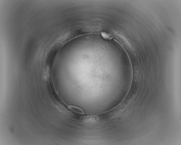 X0000116480077200912091409