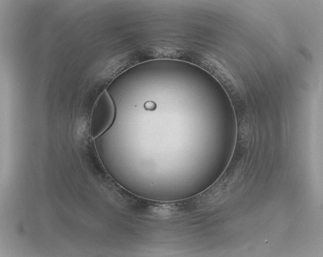 X0000116480079200912091409