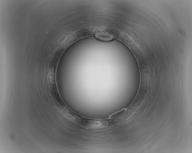 X0000116480083200912091409