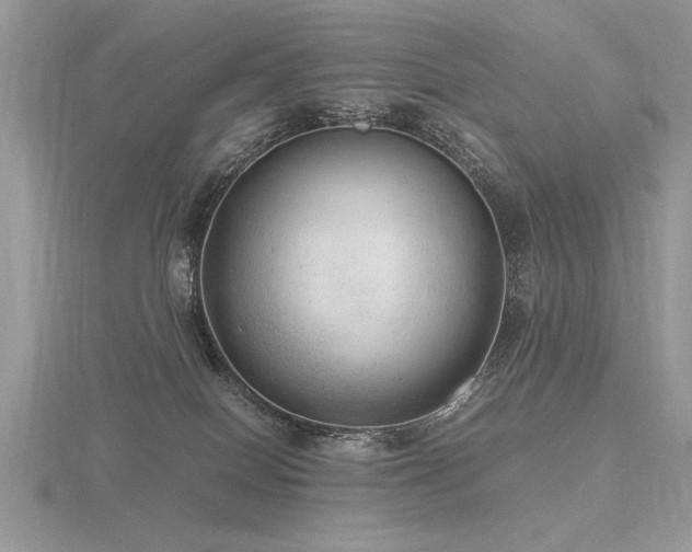 X0000116480086200912091409