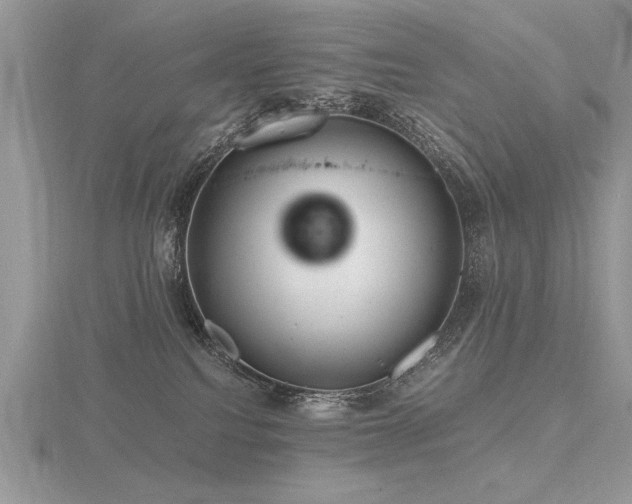 X0000116480088200912091409