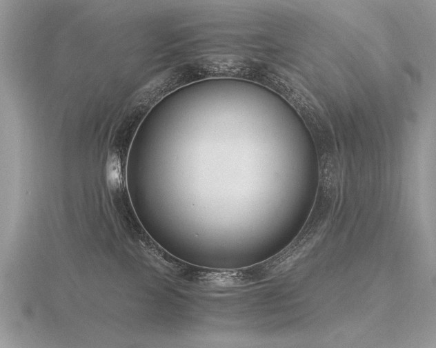 X0000116480089200912091409