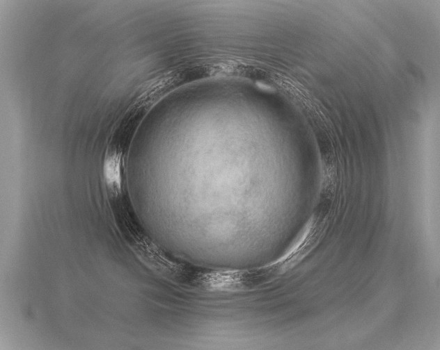 X0000116480094200912091409