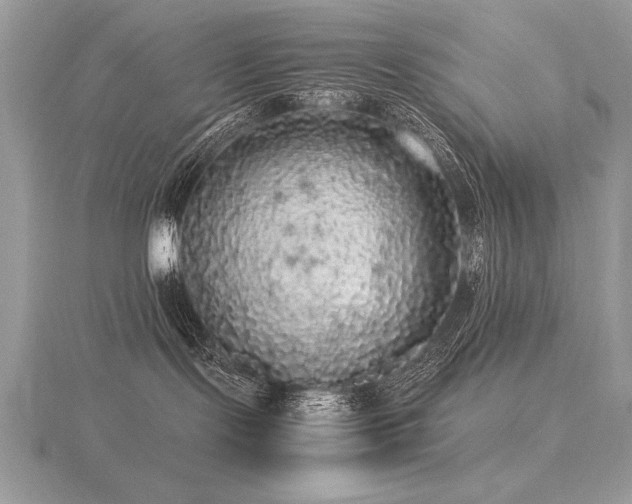 X0000116480095200912091409