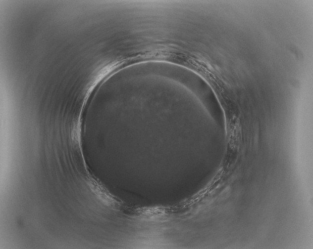 X0000116480100200912091408