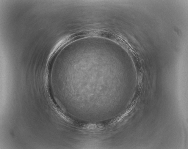 X0000116480101200912091408