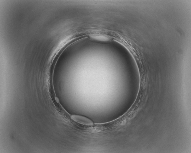 X0000116480103200912091408