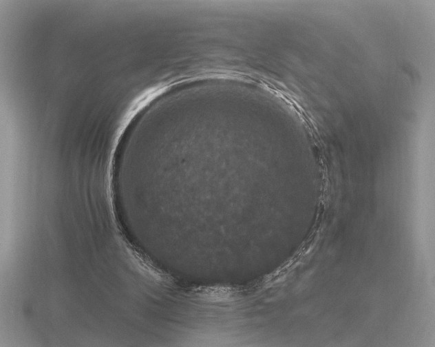 X0000116480104200912091408