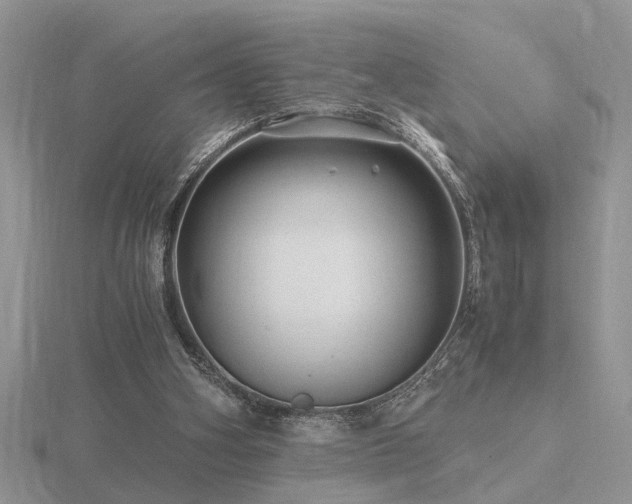 X0000116480106200912091408