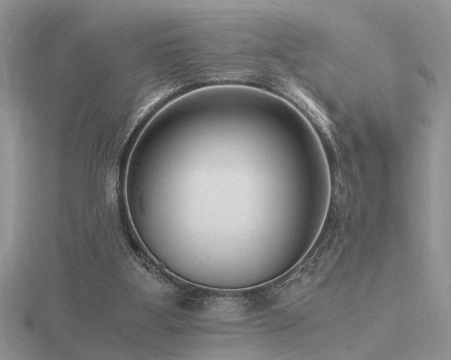 X0000116480107200912091408