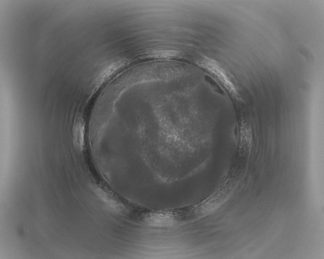 X0000116480110200912091408