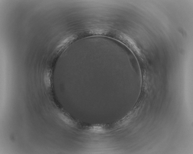 X0000116480114200912091408