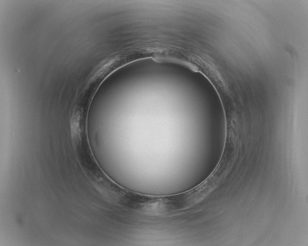 X0000116480116200912091408