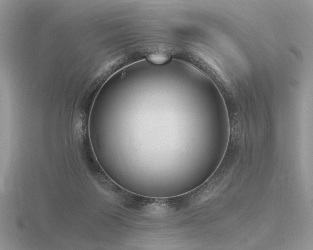 X0000116480119200912091408