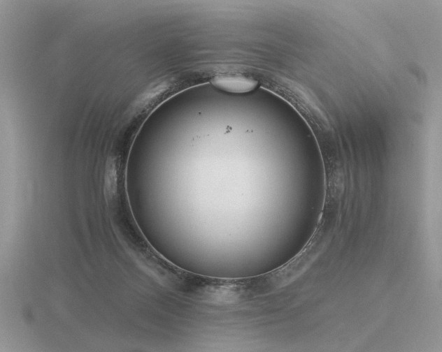 X0000116480120200912091408