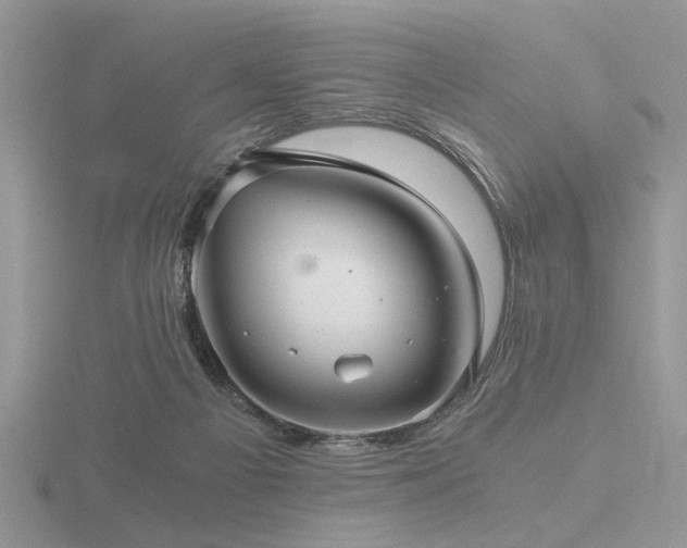 X0000116480121200912091408