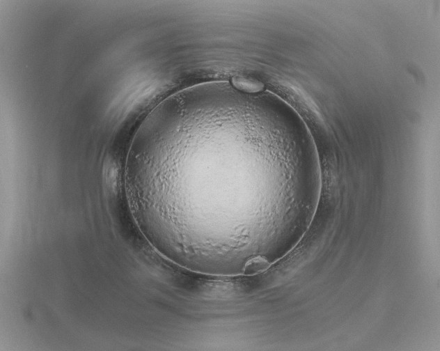 X0000116480123200912091408