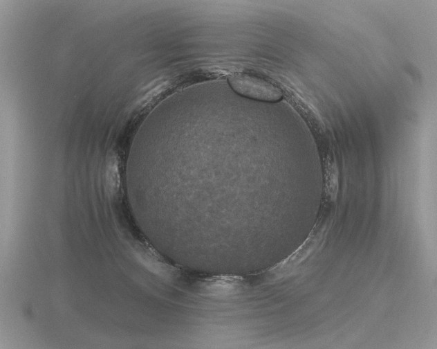 X0000116480128200912091408