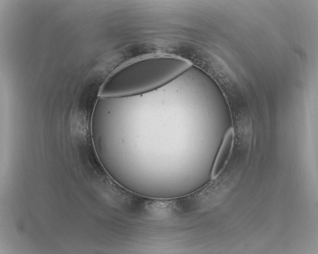 X0000116480129200912091408