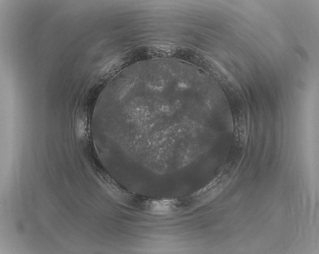 X0000116480134200912091408