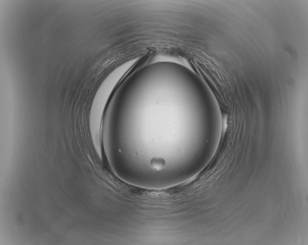 X0000116480137200912091408