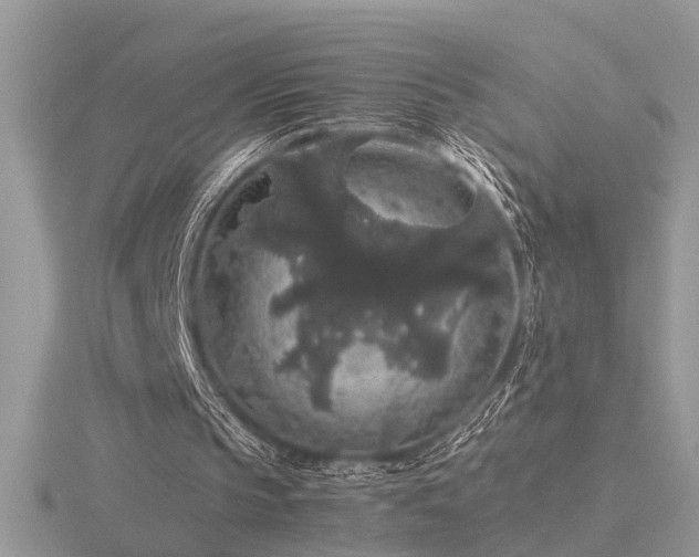 X0000116480145200912091407