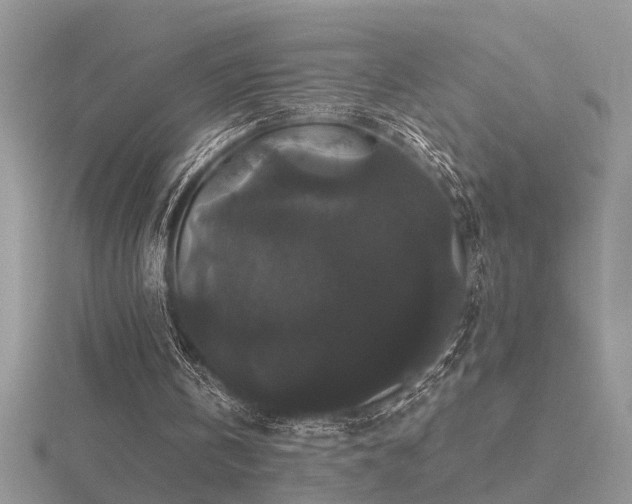 X0000116480146200912091407