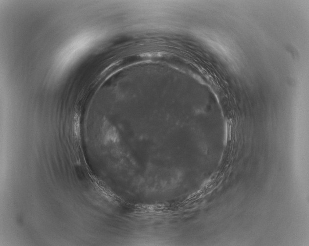 X0000116480147200912091407