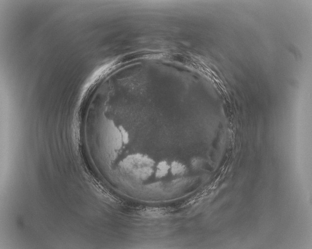 X0000116480149200912091407