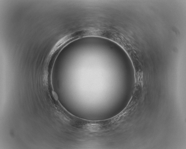 X0000116480150200912091407