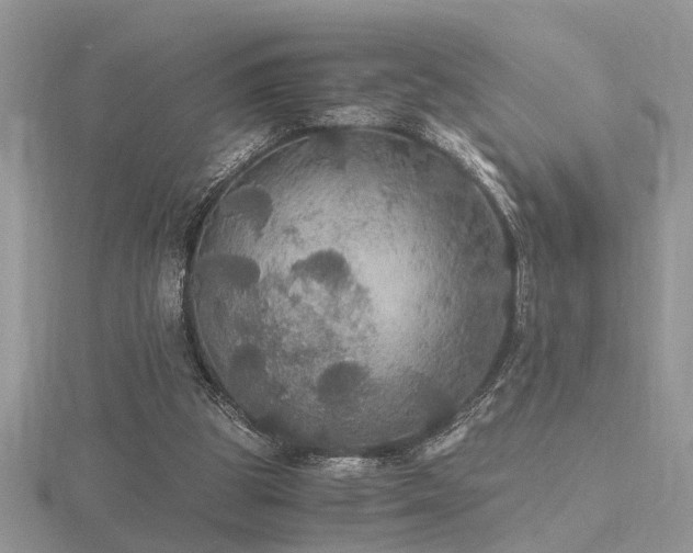 X0000116480153200912091407