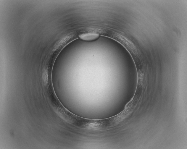 X0000116480158200912091407